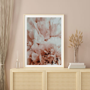 Peony II Canvas Print 60 X 90